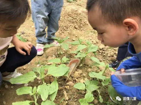 优质经验分享活动_经验分享活动标语_经验分享主题活动