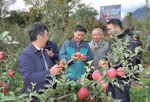 致富经农作物旅游_农致富项目_农业致富好项目1717