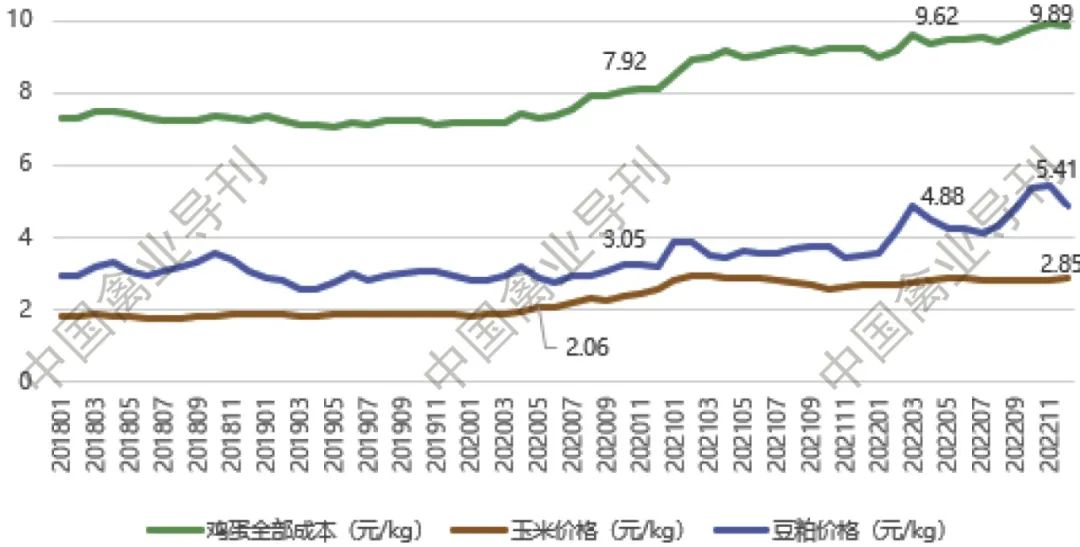 致富经规模化蛋鸡_规模化蛋鸡养殖_规模化蛋鸡养殖场标准