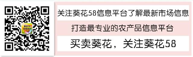 养殖蚯蚓做什么用_用相养殖蚯蚓技术_养殖蚯蚓技术用途有哪些