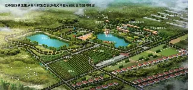 紫苏子种植技术_紫苏籽种植技术_种植紫苏子技术视频教程