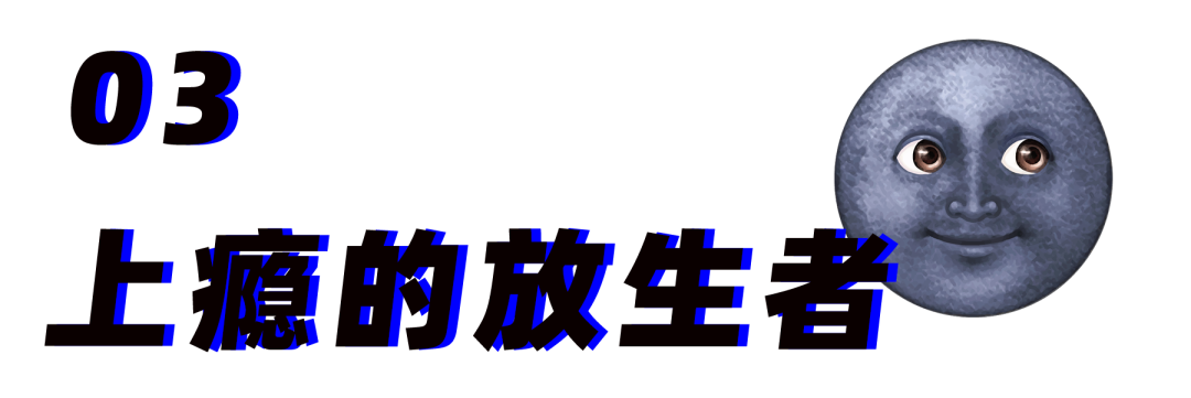 致富官网_致富经贴吧_致富网论坛