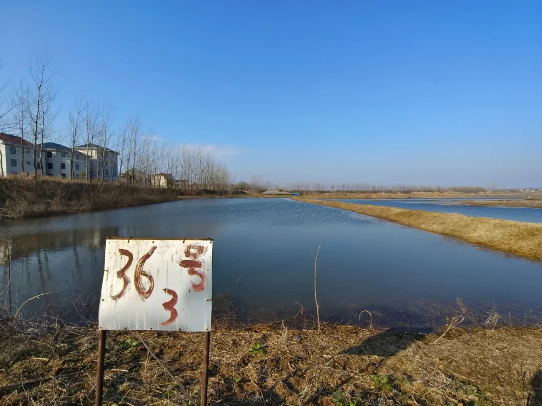 三农致富经_三农致富经农村_农村致富助力三农