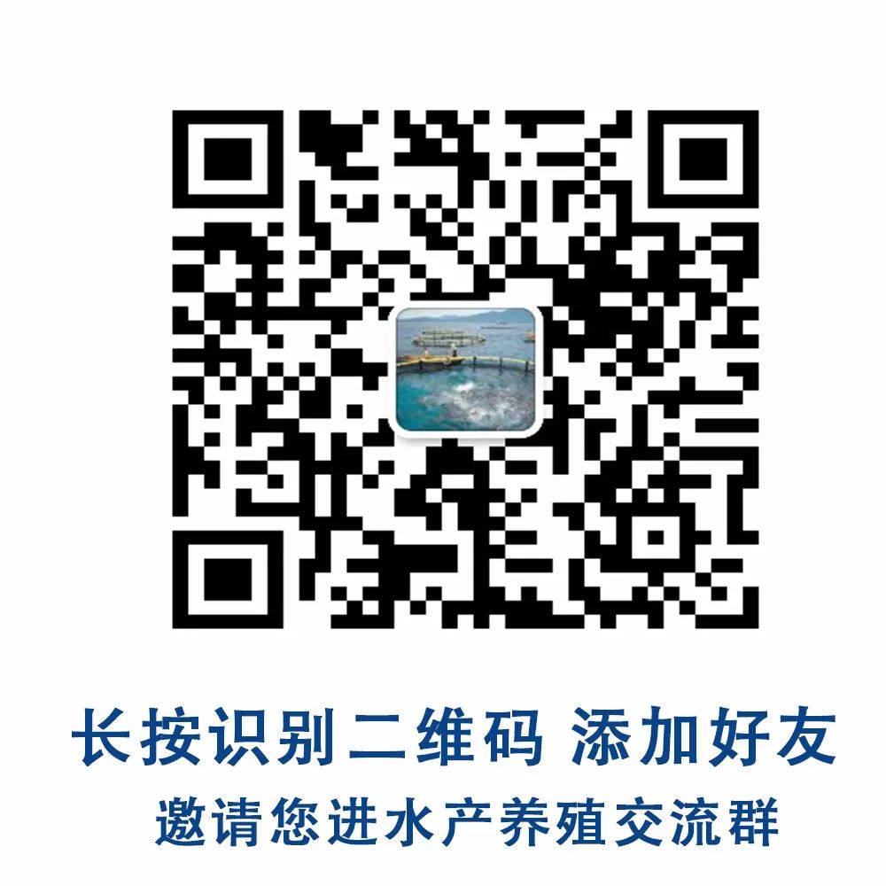 河蟹之池塘养殖技术_养殖池塘技术河蟹视频_河蟹养殖池图片