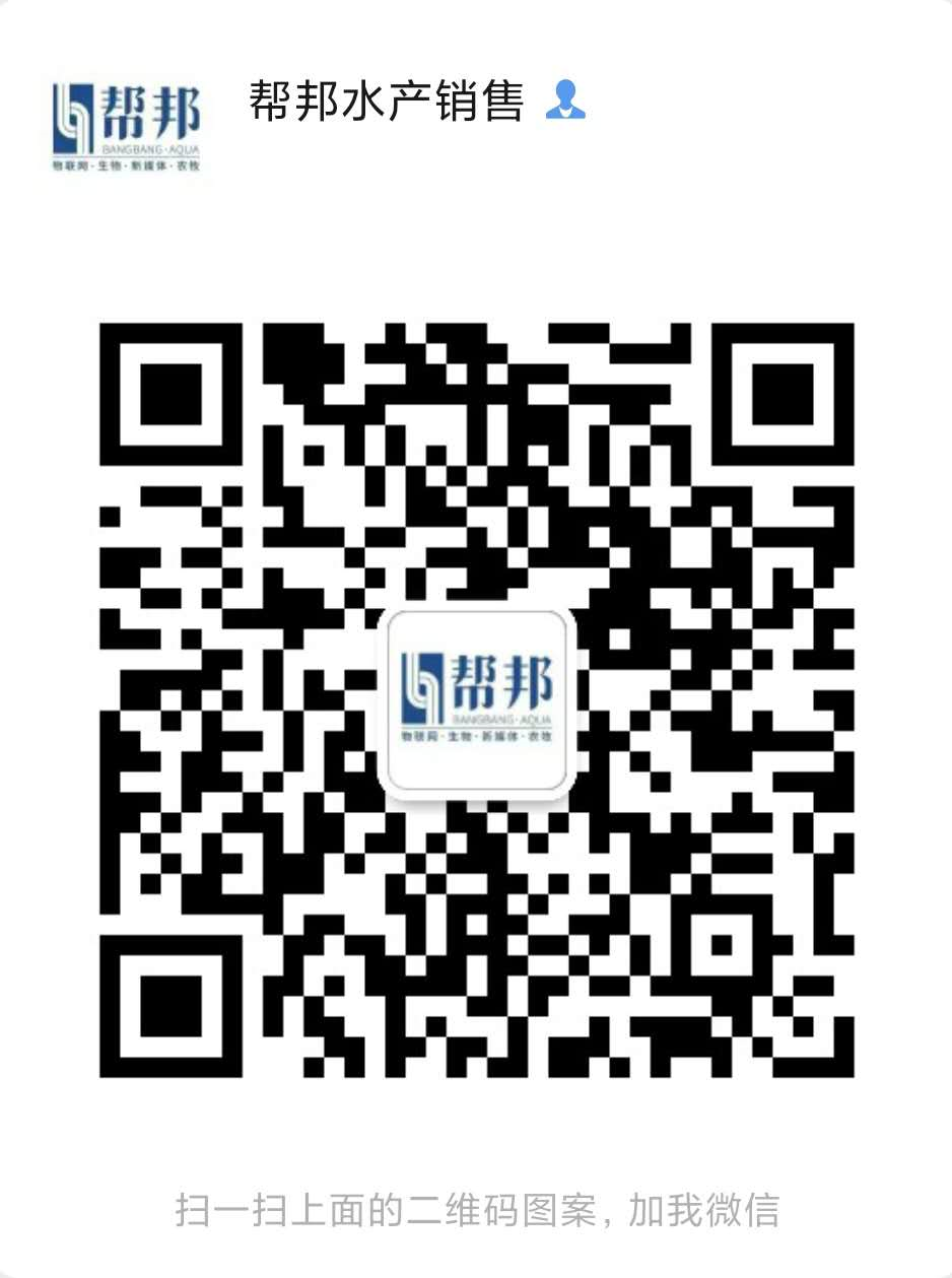 河蟹之池塘养殖技术_池塘养蟹技术视频_河蟹养殖的池塘构造有哪些要求