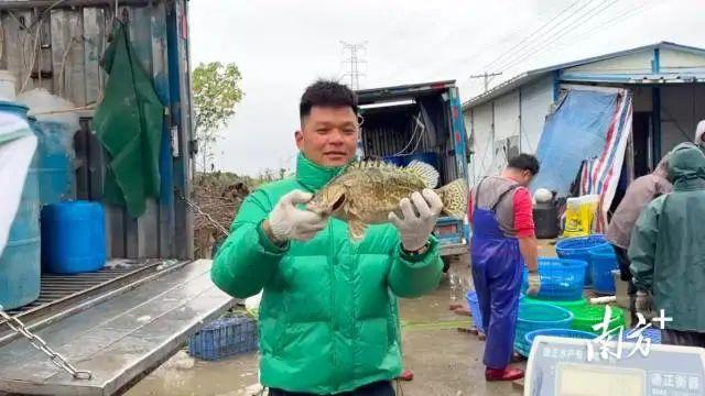 江苏鳜鱼价格_江苏鳜鱼工厂化养殖视频_江苏省鳜鱼养殖致富经