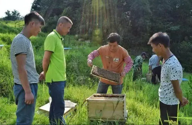 农技人员向贫困户传授蜜蜂养殖技术 紫云自治县中蜂养殖培训班开班