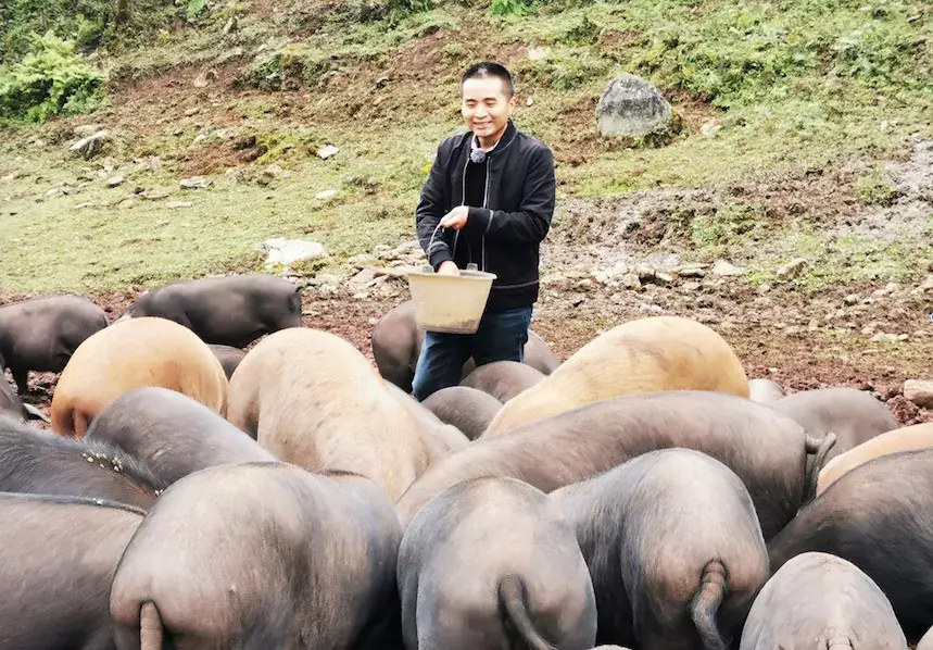 返乡创业卖腊肉，峨边小伙登上央视《致富经》栏目！