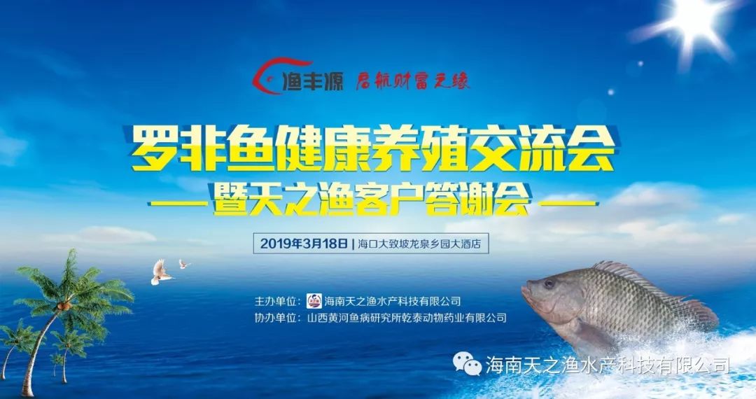 致富海南养殖罗非鱼视频_海南罗非鱼养殖致富_海南养罗非鱼赚钱吗