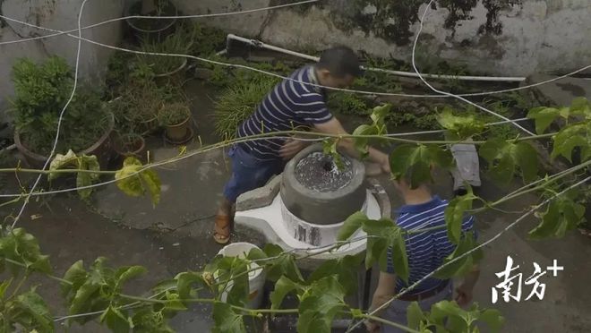 南方农业种植致富_南方种植农作物_南方农业种植什么好项目有哪些