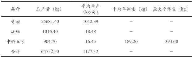 稻田“双千工程”蔬菜、青蛙、鱼三种生物综合种养技术