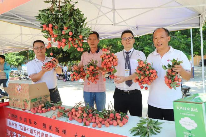 桂味种植管理技术_桂味荔枝价格_桂味荔枝产地