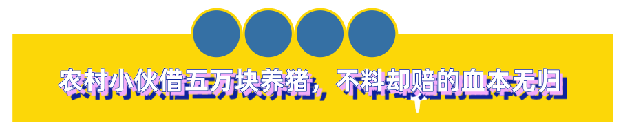 农村小伙借5万搞养殖，却赔得血本无归，女友一招让他年卖300万