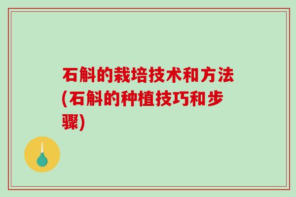 石斛的栽培技术和方法(石斛的种植技巧和步骤)