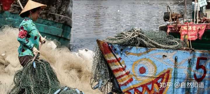 挪威海上养殖场_挪威水产养殖_挪威养殖致富视频