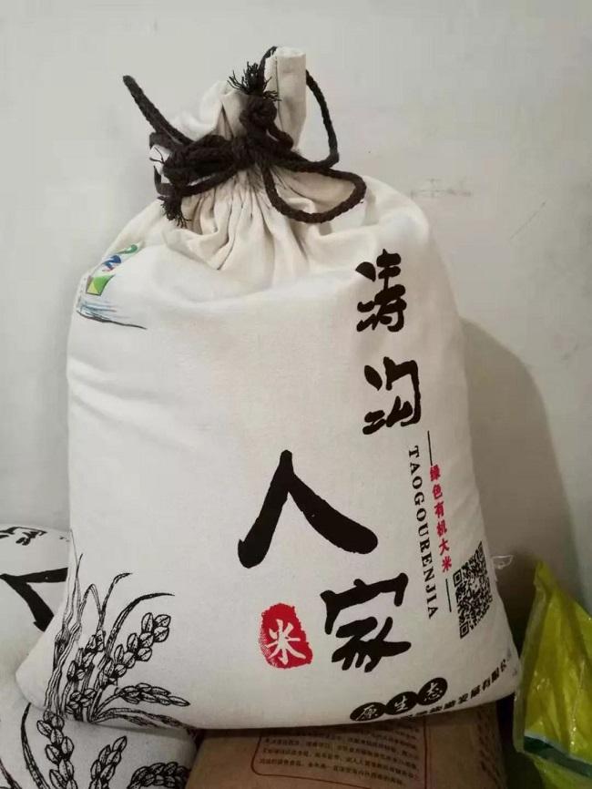 运河两岸万亩水稻 国稻种芯·中国水稻节：山东枣庄鲁南粮仓