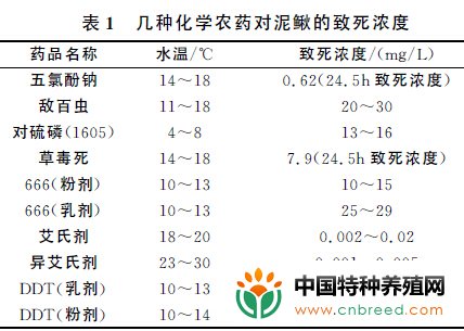 高效泥鳅养殖技术(2)