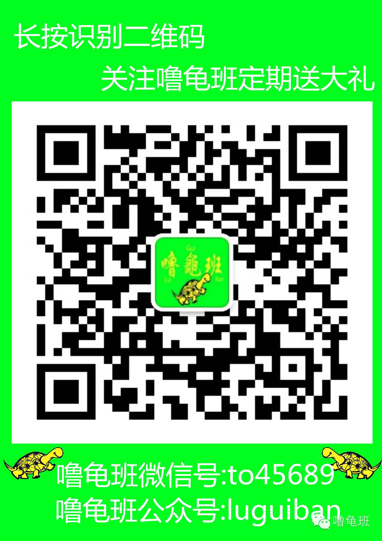 面包虫养殖技术大全_面包虫养殖技术_面包虫养殖技术与利润