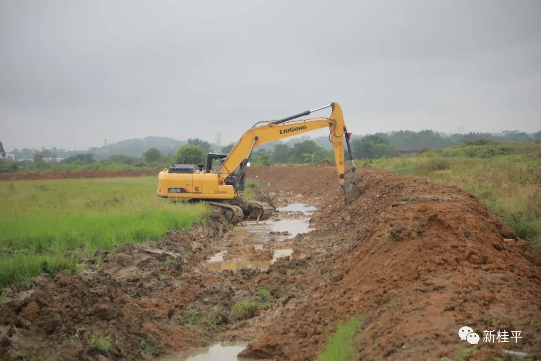 桂虾养殖技术_登封肉鸡养殖大棚技术_肉鸡养殖通风技术