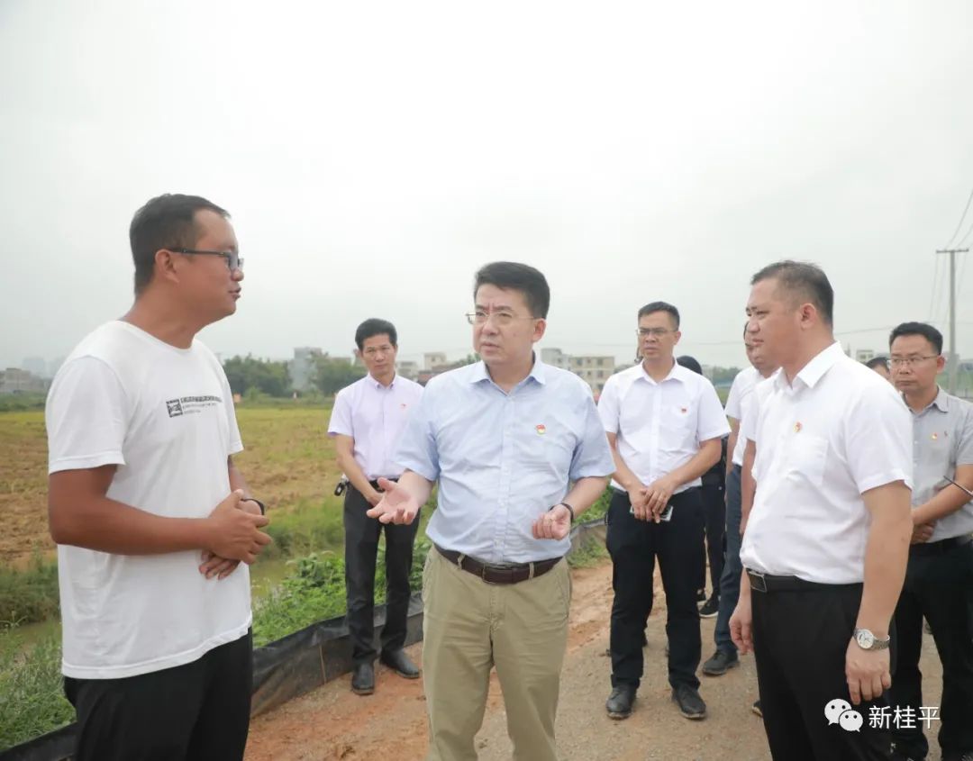 登封肉鸡养殖大棚技术_肉鸡养殖通风技术_桂虾养殖技术