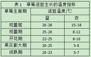 表1 草莓适宜生长的温度指标