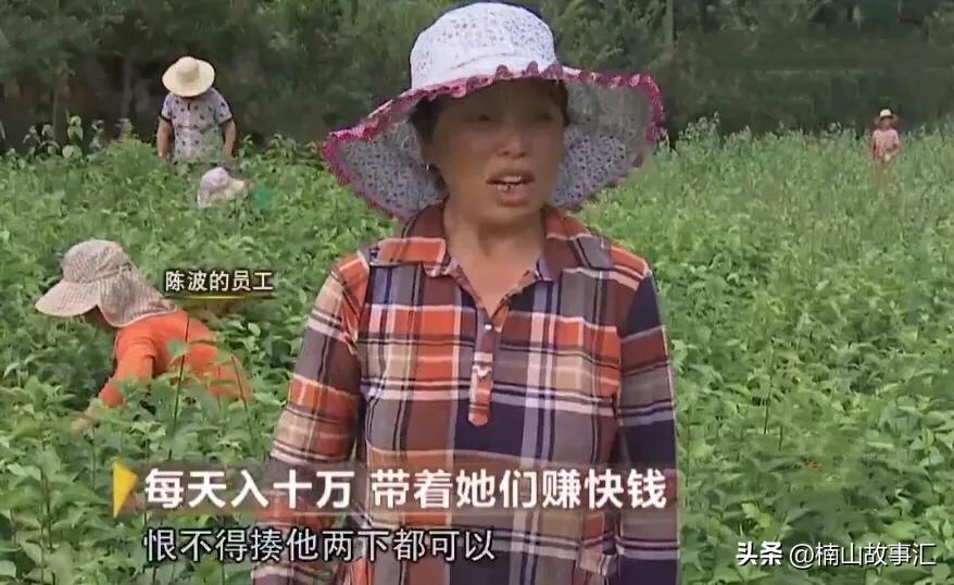 奉节县委书记陈_重庆奉节副县长陈鼎_致富经重庆奉节县陈波