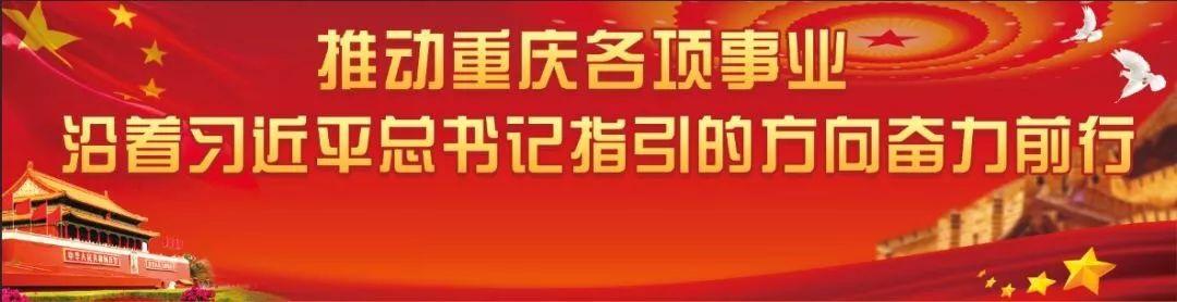 重庆奉节副县长陈鼎_致富经重庆奉节县陈波_重庆市奉节县陈波公司