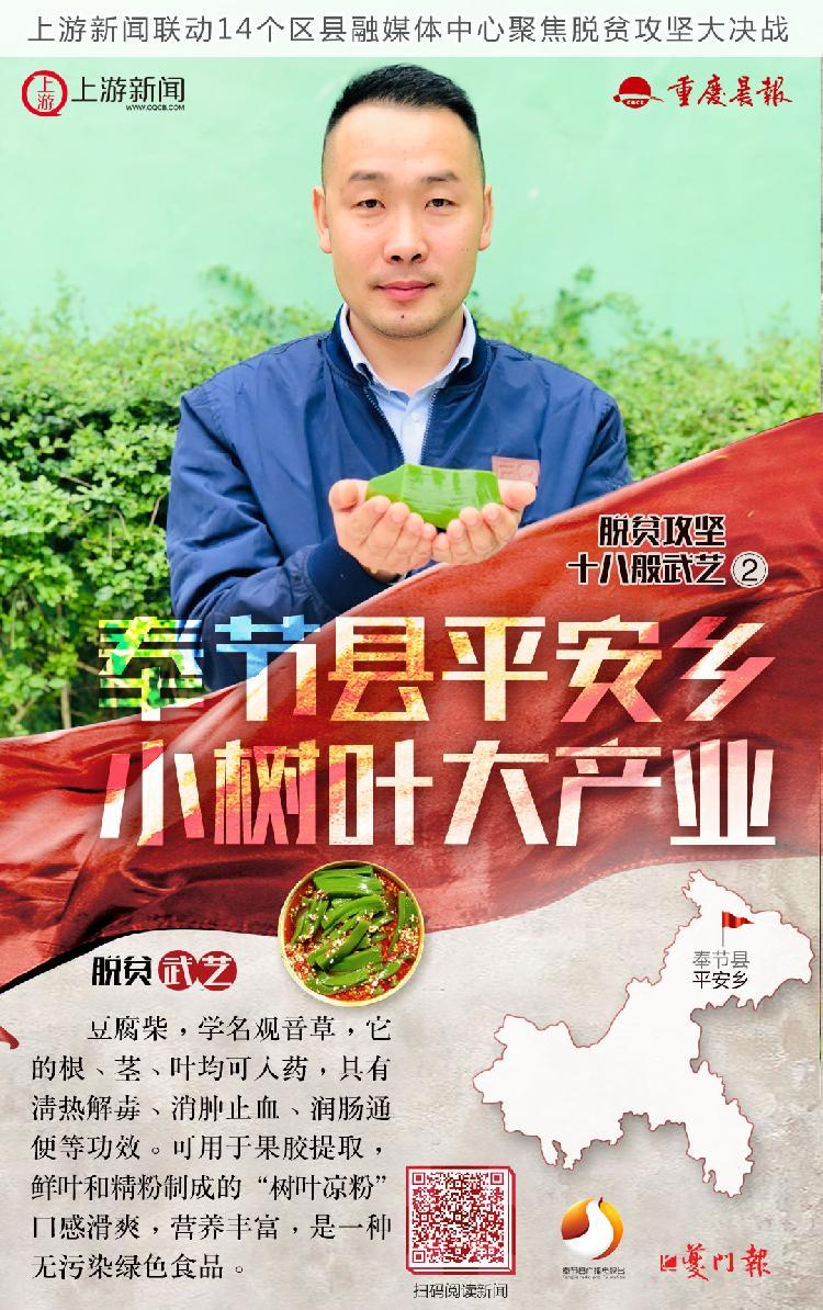 致富经重庆奉节县陈波_重庆奉节副县长陈鼎_奉节县委书记陈