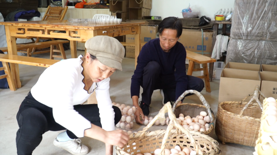 生态养殖致富项目_致富养殖生态项目简介_养殖致富项目一