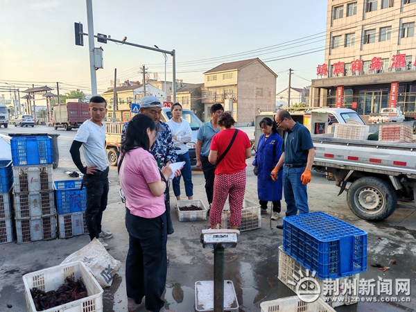 龙虾养殖新技术模式_龙虾养殖基地视频_本地龙虾养殖技术