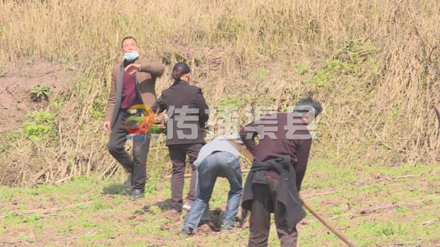 致富经竹子创业_荒山种植致富竹_竹子致富