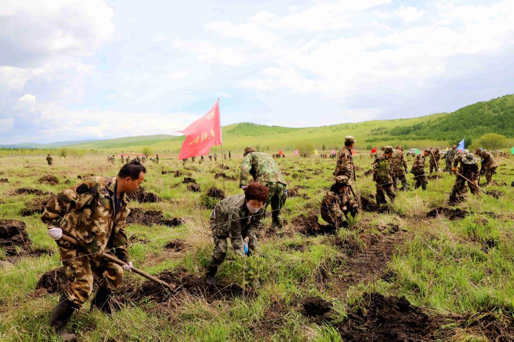 林场蜜蜂养殖致富_蜜蜂养殖基地_蜜蜂致富养殖林场视频