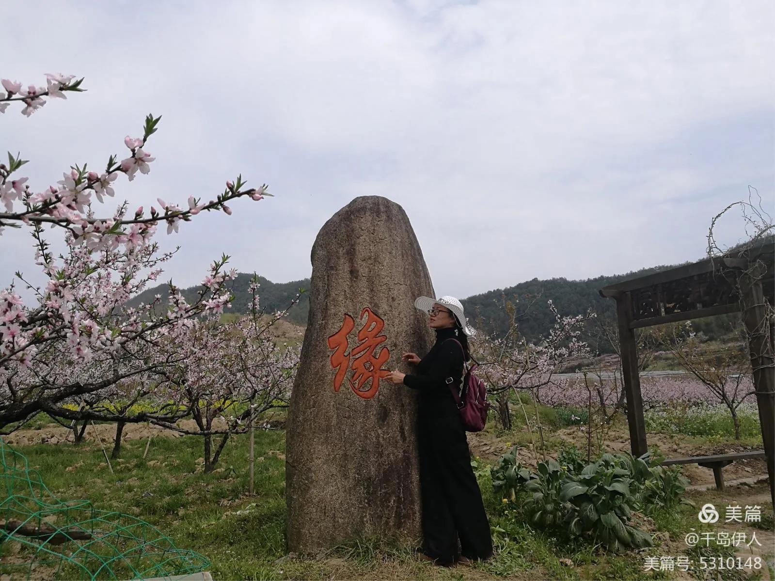 冬季大白菜种植_冬季白菜花种植技术_白菜冬季种植花技术与管理