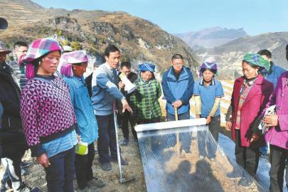 田地里，手把手传授“致富经”