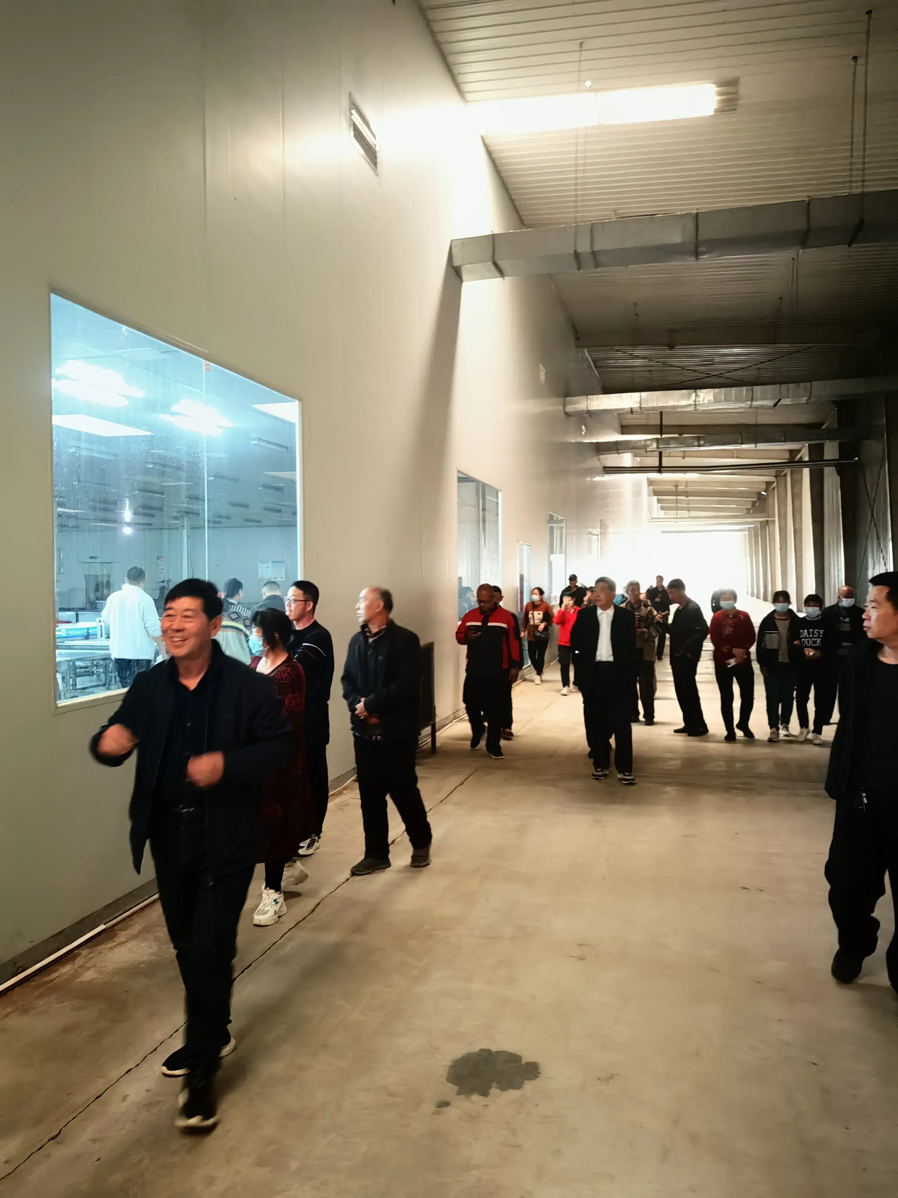 致富农业发展项目是什么_致富经农业发展项目_致富农业发展项目有哪些