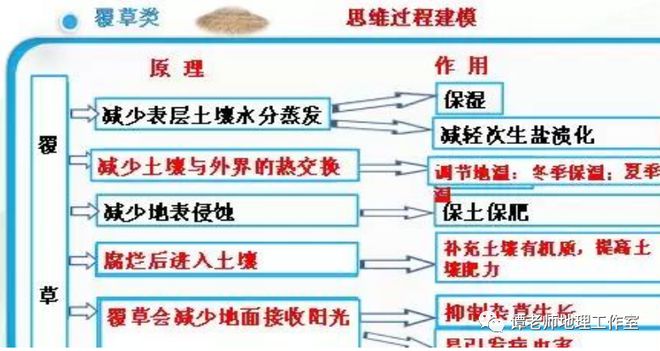 大棚种植机草莓技术有哪些_大棚种植草莓的方法步骤视频_大棚有机草莓种植技术