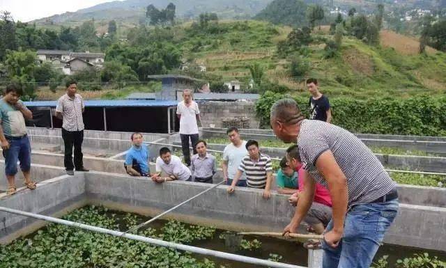 致富养殖蚯蚓黄鳝视频_致富经蚯蚓养殖黄鳝6_致富养殖蚯蚓黄鳝怎么样