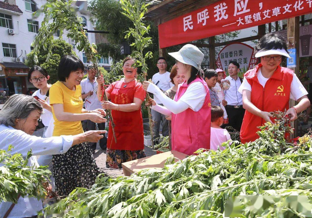 淳安刘寄奴种植致富_淳安刘寄奴种植致富_淳安刘寄奴种植致富