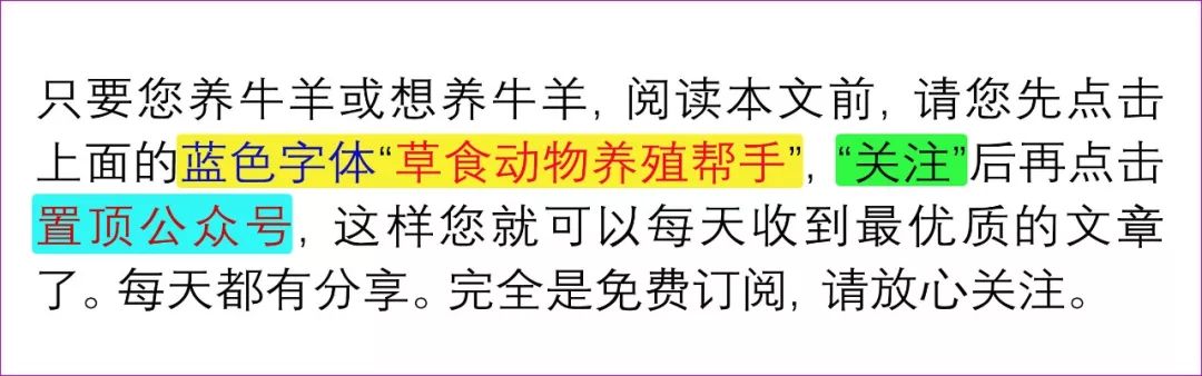 牛的养殖管理技术，有4点要谈