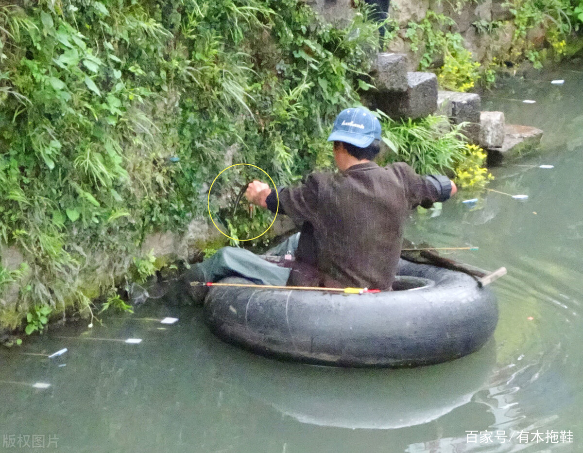 致富养殖蚯蚓黄鳝怎么样_蚯蚓黄鳝生态养殖法_致富经蚯蚓养殖黄鳝6