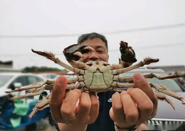 致富经之阳澄湖大闸蟹_阳澄湖大闸蟹合作_阳澄湖大闸蟹挣钱吗