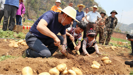 种植致富案例_种植致富农村项目大全_永新种植致富故事