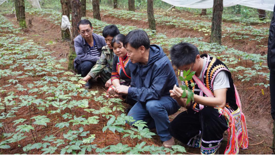 永新种植致富故事_种植致富农村项目大全_种植致富案例