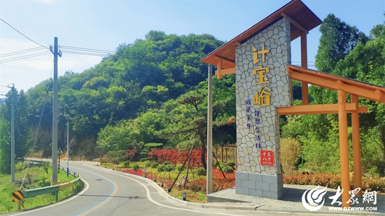 “把家乡建好，让子女回家”  ——一群花甲村干部的乡村致富经