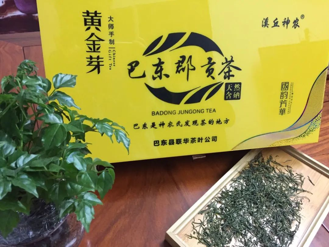 巴东种植致富_巴东适合种植的药材_湖北巴东适合种什么果树