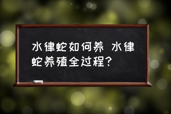 水律蛇如何养 水律蛇养殖全过程？