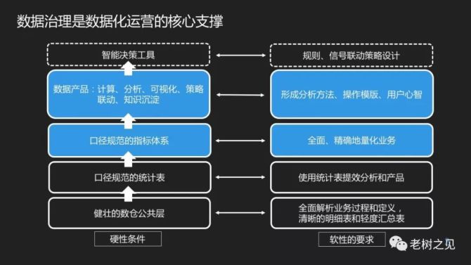 老树之见, 数据治理的经验分享（节选）