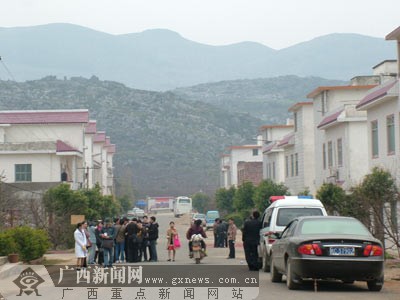 种植桃树前景如何_桃树种植效益_种桃树的致富经