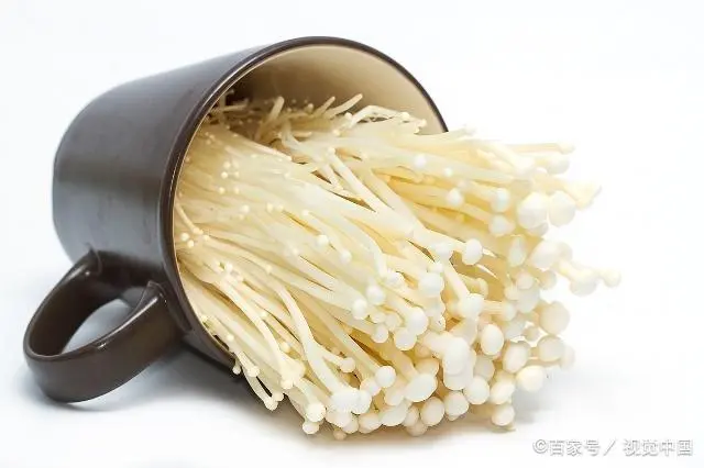 金针菇 致富经_金针菇菌种价格_金针菇菌种制作方法视频