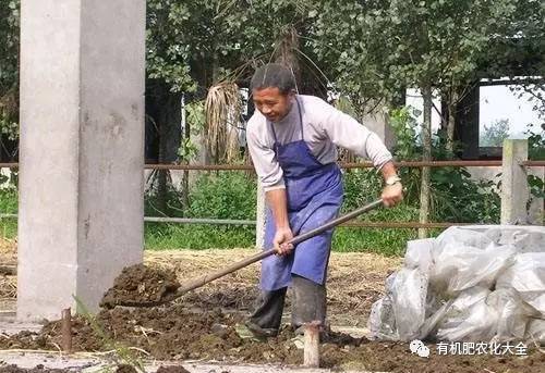 养牛场牛粪价格_牛粪养殖致富吗_牛粪养猪是骗局